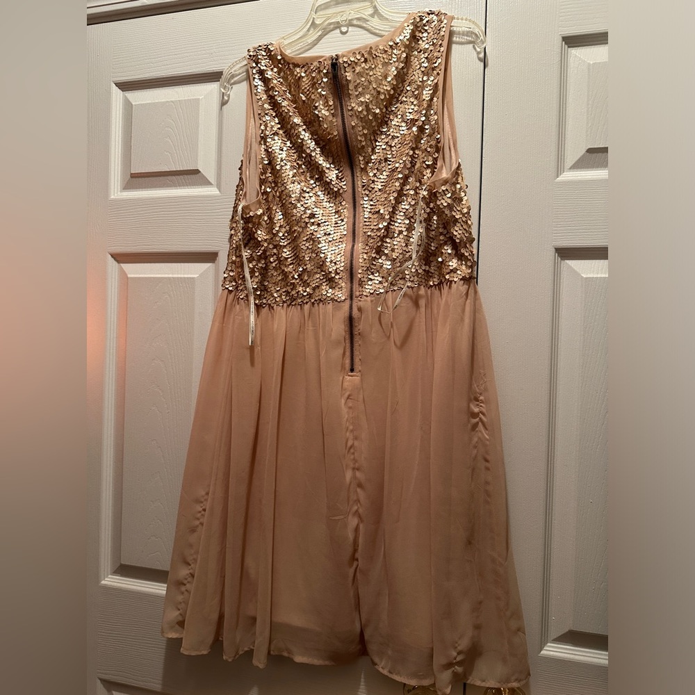 Forever 21 sequin dress.